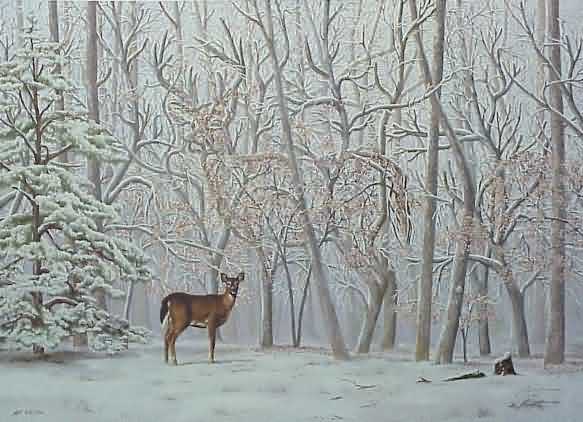 deer